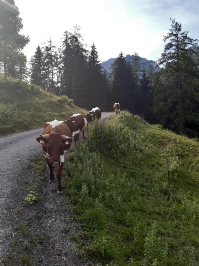 Reithgut Sankt Martin am Tennengebirge Exterior foto