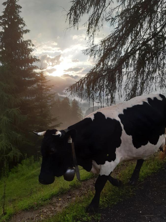 Reithgut Sankt Martin am Tennengebirge Exterior foto